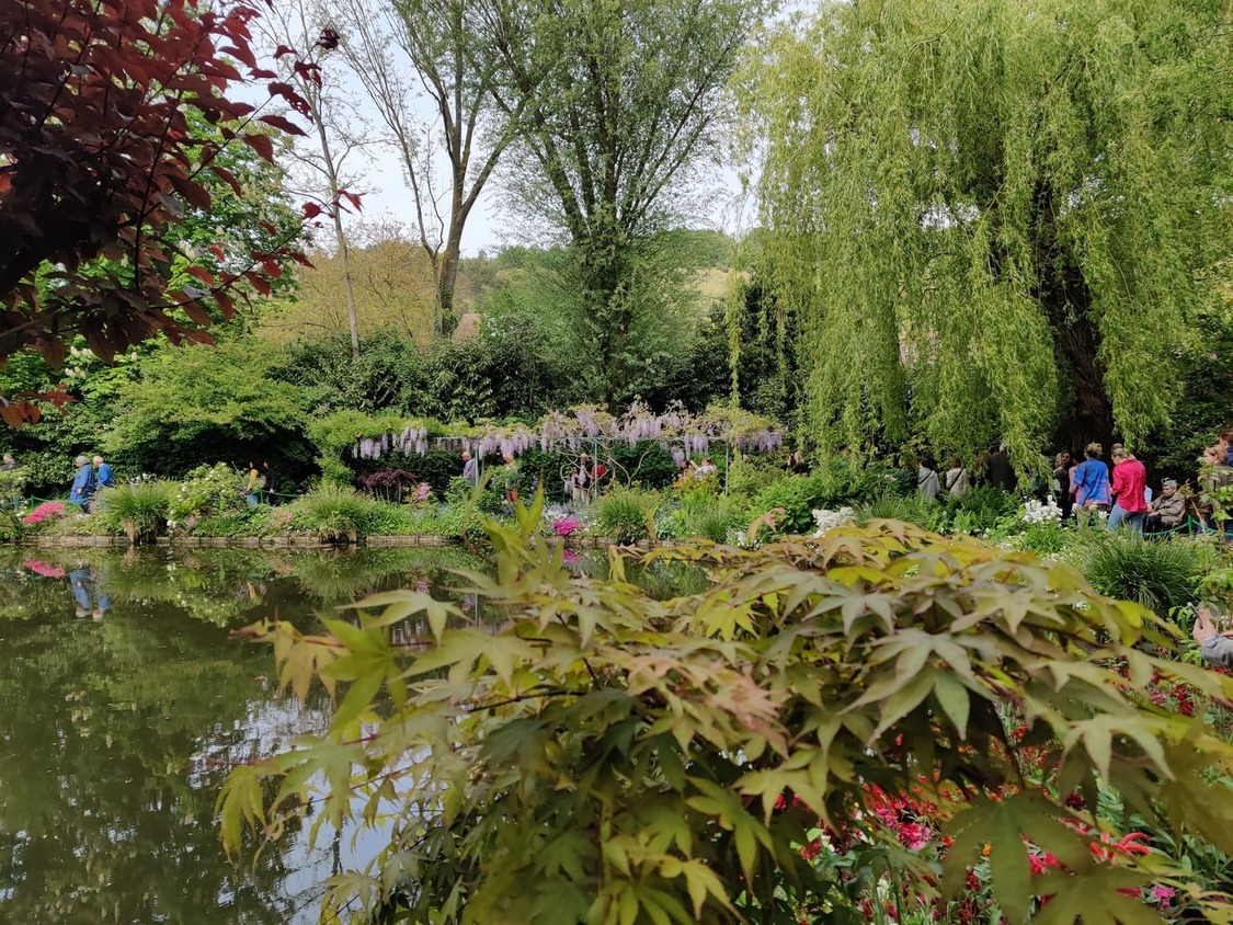 Water Lily Pond in Monet’s Garden Giverny